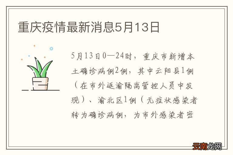 重庆市疫情最新消息全面解读与分析