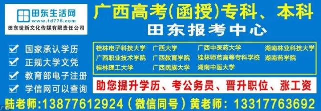 田东最新招聘信息全面汇总