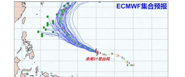 台风最新路径报告，风暴动态与影响深度解析