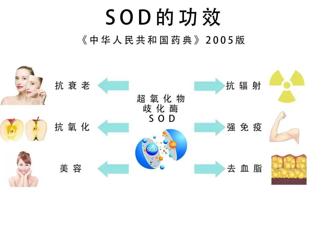 最新SOD研究进展及其应用前景展望