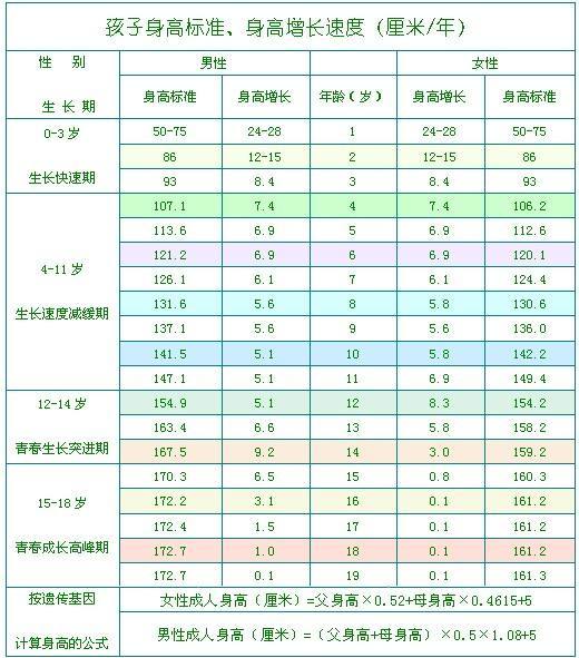 最新儿童身高标准，引导健康成长的关注焦点