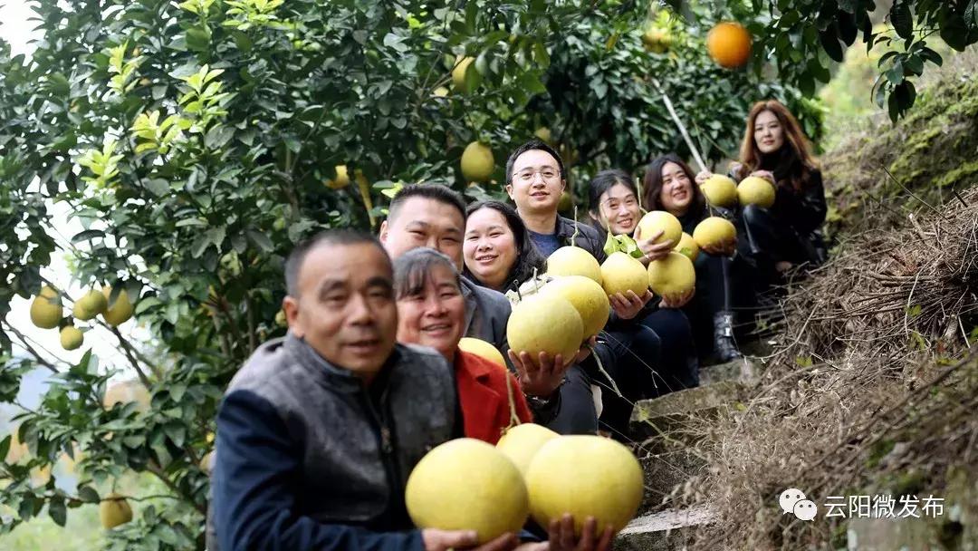 玉环挖花下载，传统工艺与现代科技的融合之美