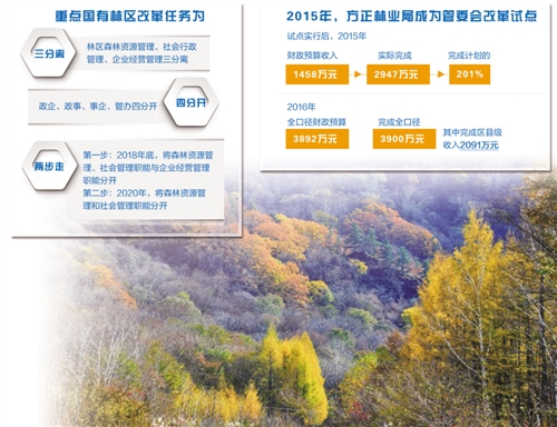 吉林省国有林区改革最新消息全面解读