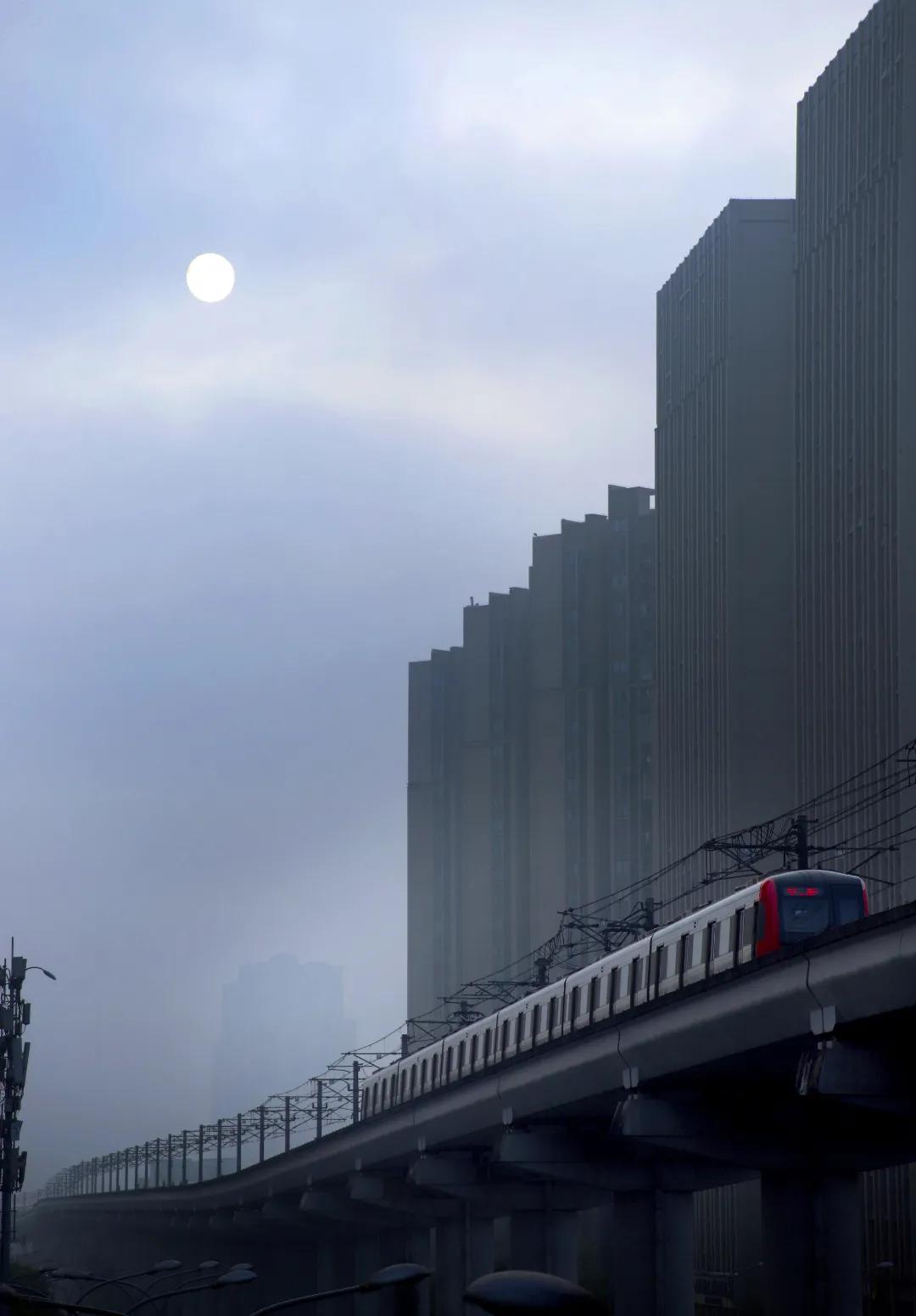 都市巅峰，绝顶高手的电子书下载之旅