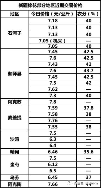 全国葵花价格最新行情深度解析