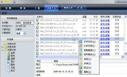 Vagaa无限制版下载，数字世界的资源探索与犯罪风险警示