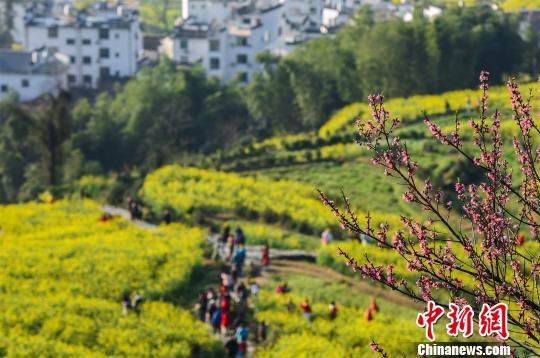 江西婺源文化与生态共荣，发展与创新并进的新时代篇章