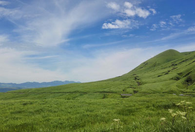 大荒地村委会新项目启动，乡村振兴新篇章