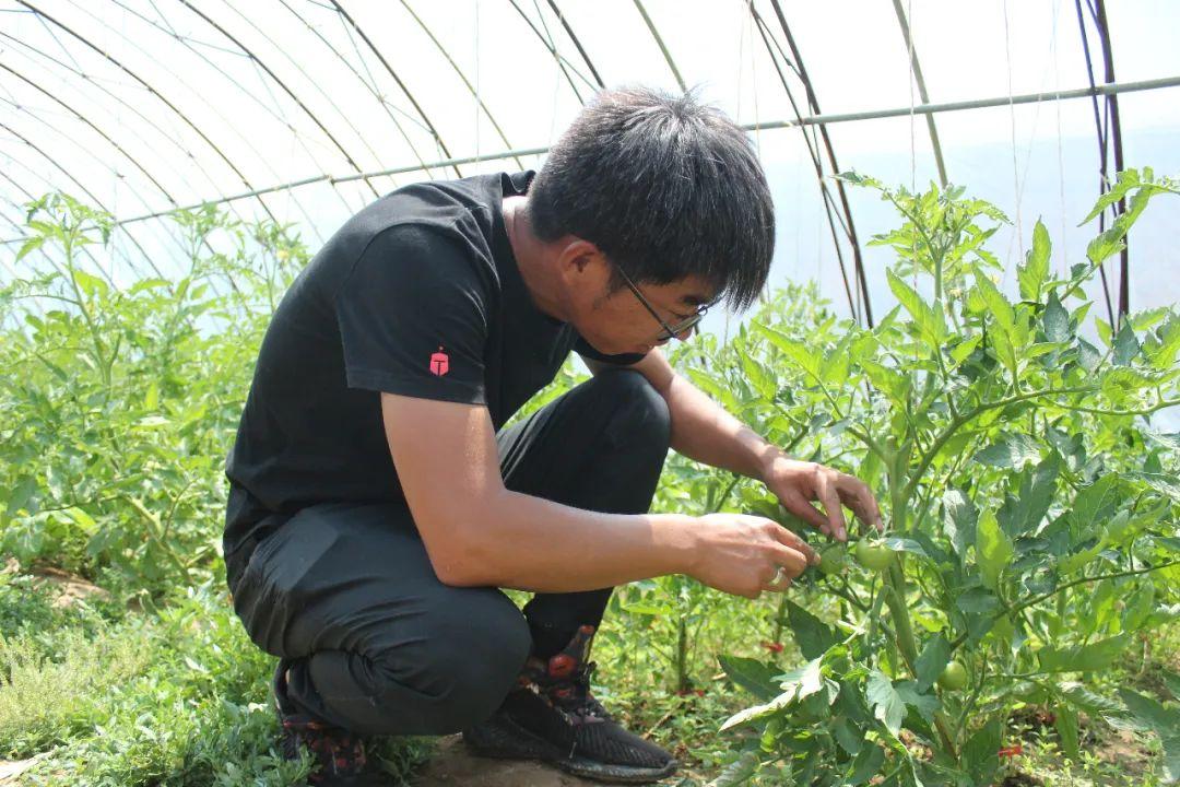 岛屿失梦 第2页