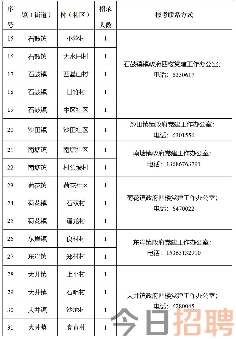 金布川村委会最新招聘信息全览