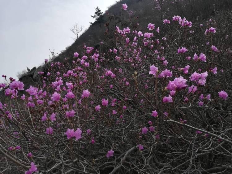 崆峒镇天气预报更新通知