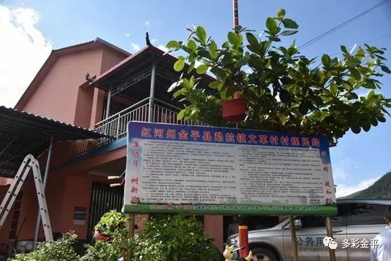 纳告村委会启动新项目重塑乡村，迈向现代化与可持续发展之路