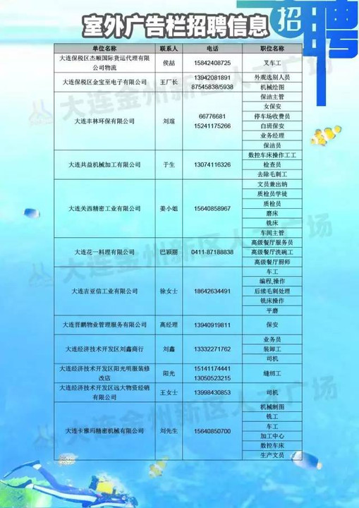 金州区统计局最新招聘详解公告发布