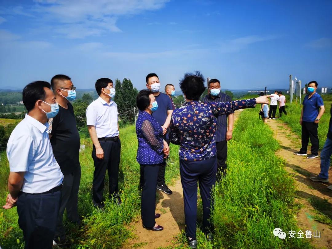 鲁山道街道天气预报更新通知