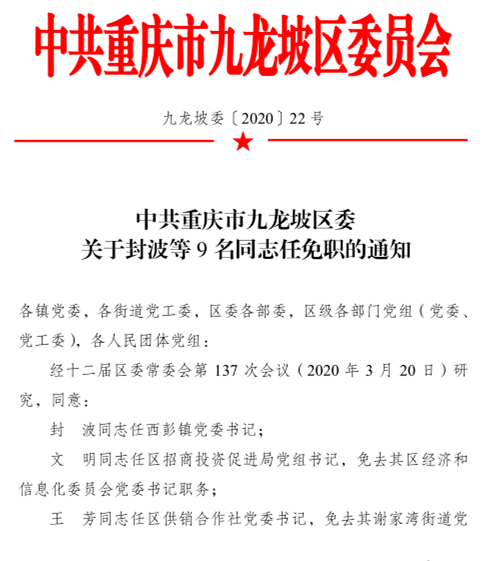 九龙坡区成人教育事业单位人事任命动态更新