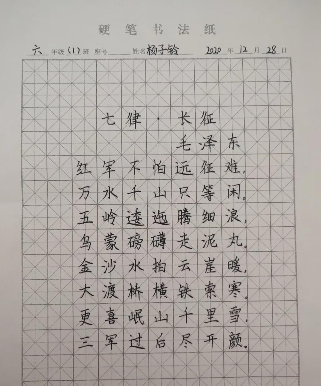 新县小学最新项目，开启未来教育新篇章