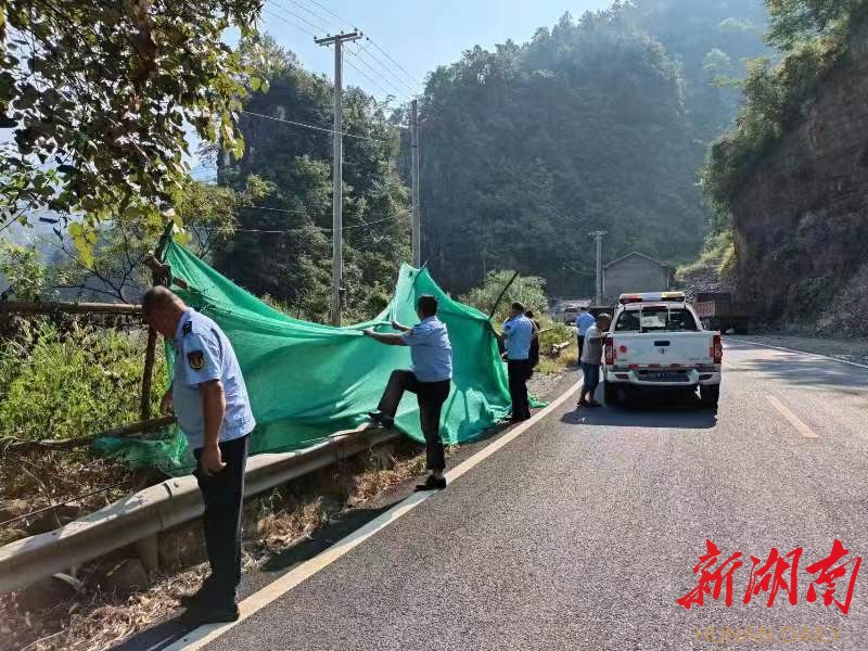 东洞乡最新交通动态报道