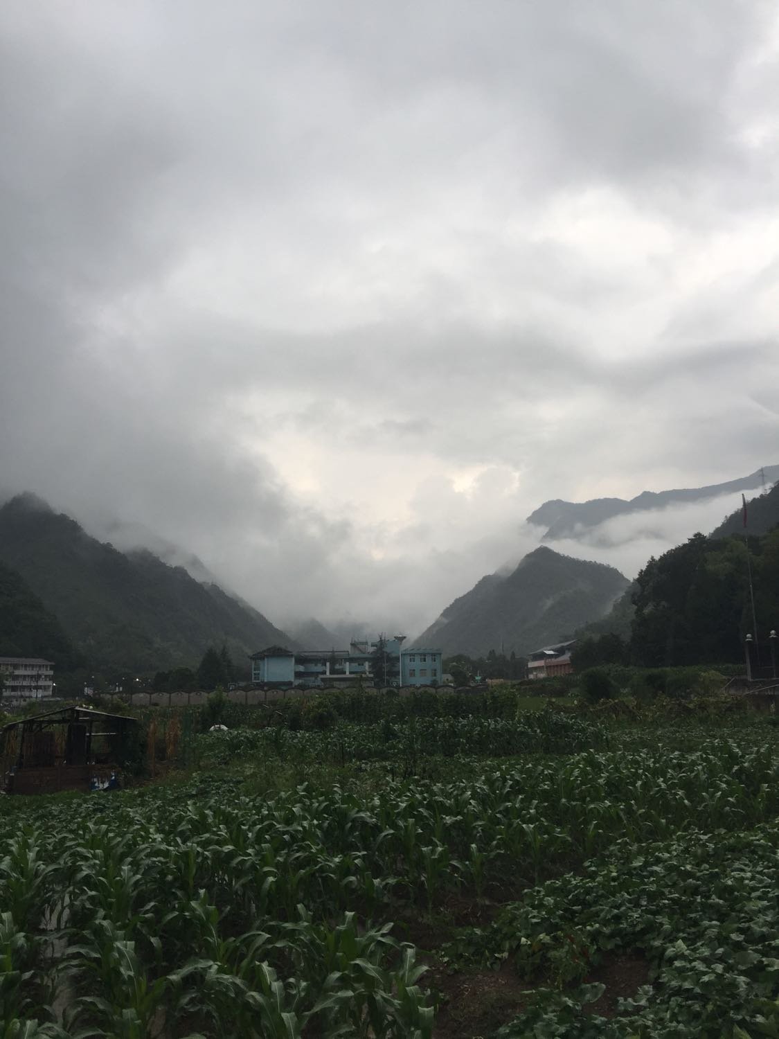 高车村天气预报更新通知