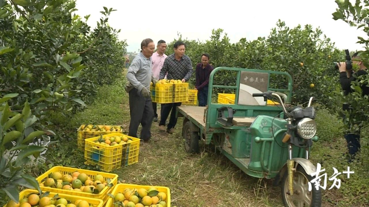 阳江林场宝山分场天气预报更新通知