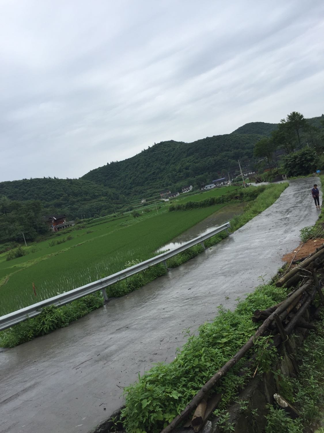 绍濂乡天气预报更新通知