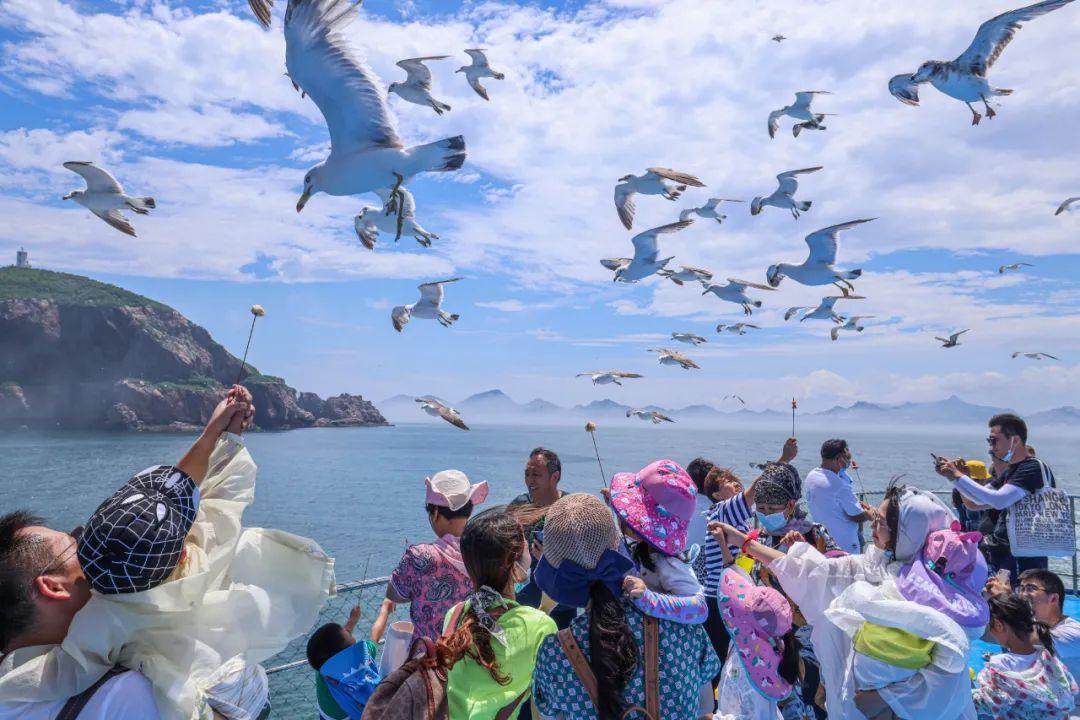 抚远县文化广电体育和旅游局发展规划概览