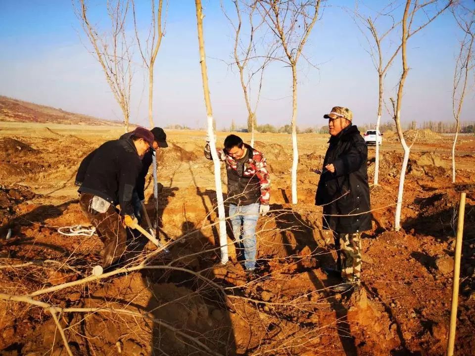 石羊河林业总场扎子沟分场招聘启事与职业机会深度解析